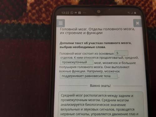 Дополни текст об участках головного мозга, выбрав необходимые слова.Головной мозг состоит из основны