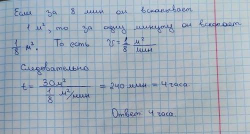 Ернару необходимо вскопать огород, который имеет форму четырехугольника. Диагонали четырехугольника