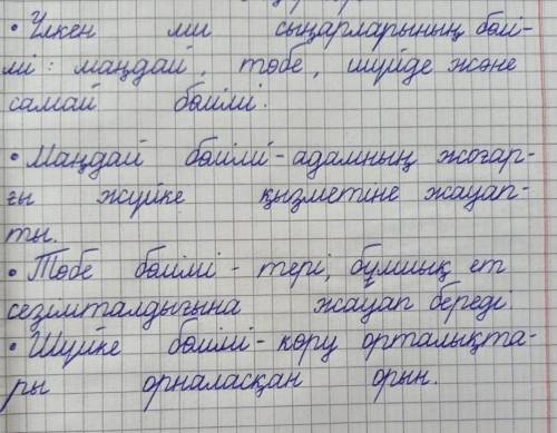 1.Ми бөлімдерінің құрылысы мен қызметінің ерекшеліктерінің сипаттаңдар.Мәліметтерді немесі ми бөлімд