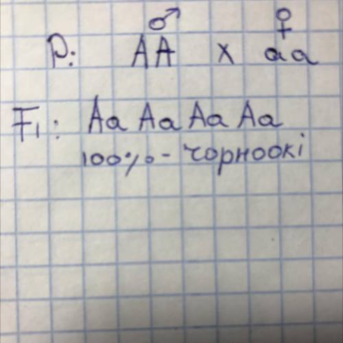 Чорноокий чоловік одружився із сіроокою дівчиною. Чорний колір- домінантна зигота, а сірий колір - р