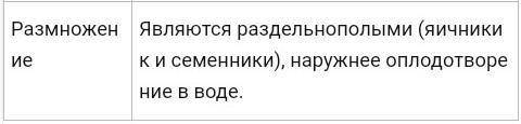 Нужно заполнить таблицу(прикрепил), Внешнее и внутреннее строение Ланцетника