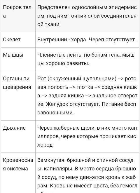 Нужно заполнить таблицу(прикрепил), Внешнее и внутреннее строение Ланцетника