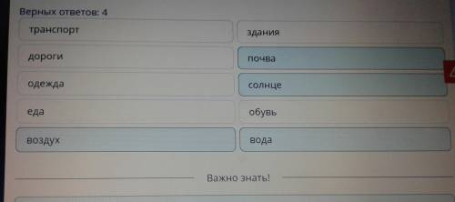 Определи область общих для всех живых существ потребностей в окружающей среде Верных ответов: 4 еда