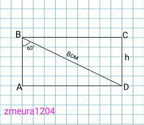 Paзвepткoй бoкoвoй пoвeepxнocти цилиндрa яв-ся пpямoyгoльник ABCD, гдe BD=8 см, yгoл ABD=60 гpaдycoм