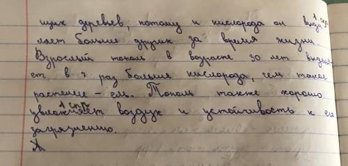 4. Рассмотри рисунок и предположи, какие деревья нужно высаживать в городах, чтобы повысить уровень