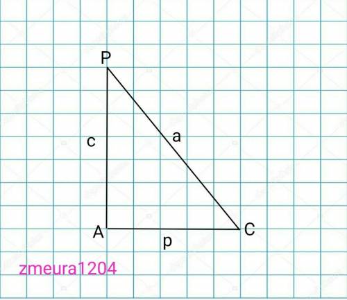 Якщо в прямокутному трикутнику АРС (кут А =90°) АР=с, АС=р,РС=а, то sin C=,sin P= ,со
