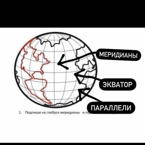 Подпиши на глобусе меридианы и параллели , найди экватор.​