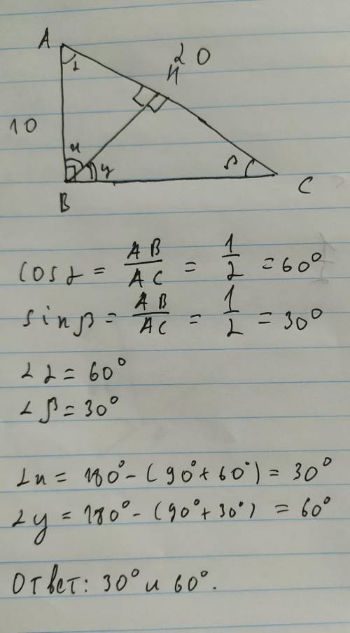 В прямоугольном треугольнике АВС угол B=90 градусов , АВ=10 см, АС=20 см. Найдите углы, которые обра