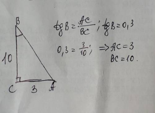 Начертите прямоугольный треугольник у которого: tg угла B=0,3