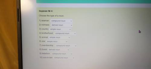 Choose the type of a noun. 1) seaman [Choose the answer] 2) richness [Choose the answer] 3) countr