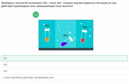 Лабораторная работа №7. Определение условия плавания №1 №2 №3 на все пробирки действуют одинаковые а