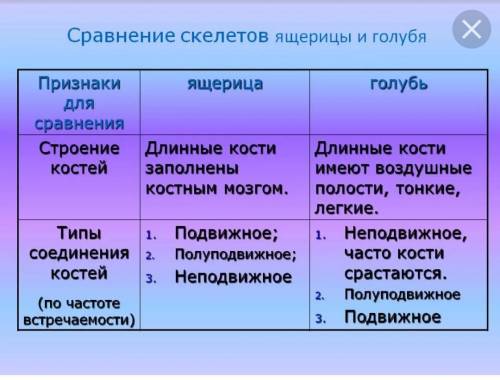 4. Рассмотрите задние конечности птицы. Есть ли сходство с конеч-ностями ящерицы?​