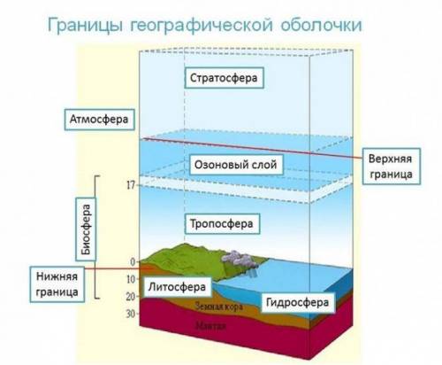 Дополните схему «Строение географической оболочки» и как определяются границы географической оболочк