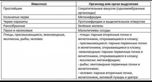 Объясни как происходит выделение у простейших животных​