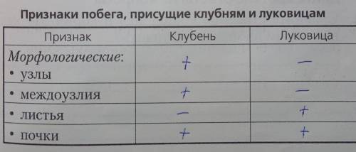 O Занесите полученные результаты в таблицу (отметьте знаком «+» Или «-»).Признаки побега, присущие к