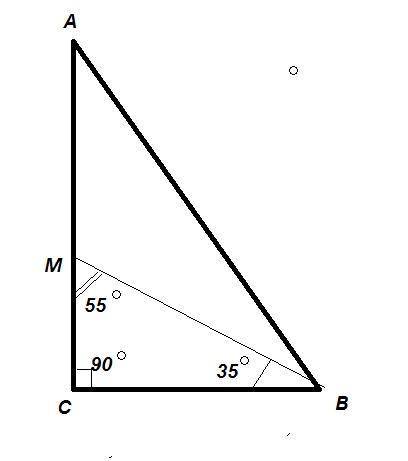 В прямоугольном треугольнике АВС∠С=900, ∠B=700, ВМ –биссектриса угла В. Найдите градусные меры углов