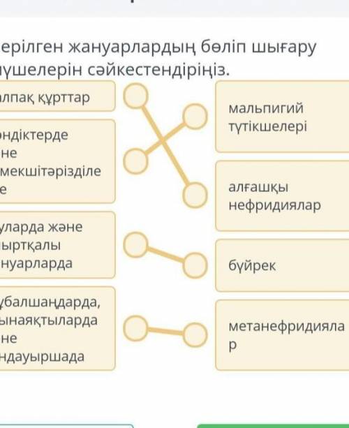 Көмірсу, ақуыз және майлардың негізгі көздері болып табылатын азық-түлік өнімдерін анықтаңыз. 1)А 2)