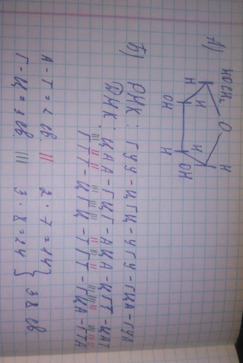 Задания А) Изобразите схематически Нуклеотид молекулы дезоксирибонуклеиновой кислоты Б) Фрагмент РНК