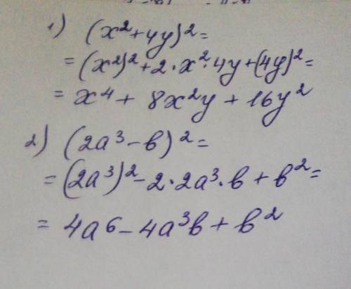 Преобразовать в полином 1)(x²+4y)² 2)(2a³-b)²​