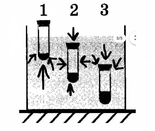 В сосуд с водой опущены три одинаковые пробирки с жидкостью. Первая пробирка движется вверх, вторая
