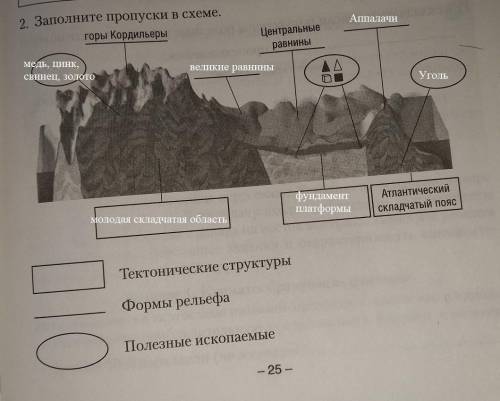 Заполните пропуски в схеме.​