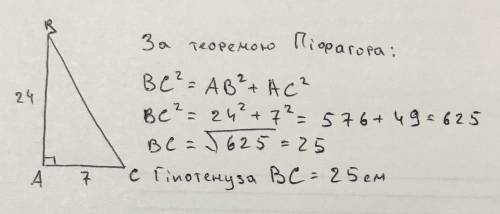 У прямокутному трикутнику катети дорівнюють 7 см і 24 см. Знайти гіпотезу А) 17смБ) 26см В) 31см Г)