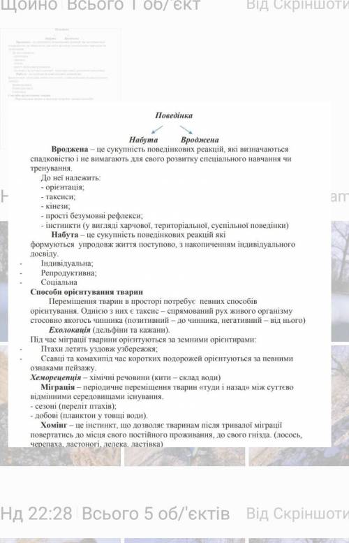 Кожен вид птахів має свою особливу форму гнізда; гніздування належить до