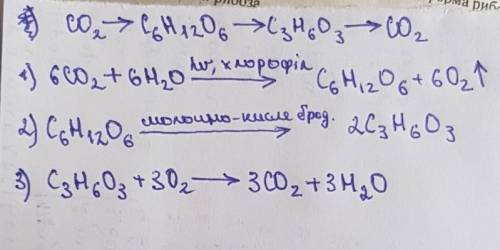 ❤️вуглекислий газ>глюкоза>молочна кислота>вуглекислий газ​