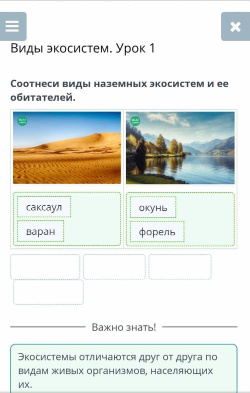 Виды экосистем. Урок 1 Соотнеси виды наземных экосистем и ее обитателей. саксаул окунь варан форель