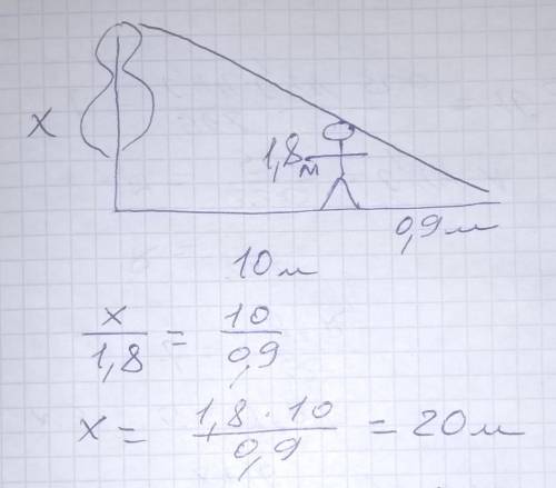2. В солнечный день длина тени на земле от человека ростом 1,8 равна 90 см, а от дерева – 10 м. Како