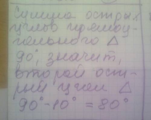 Найдите острый угол прямоугольного треугольника,если один из его острых углов равен 10​