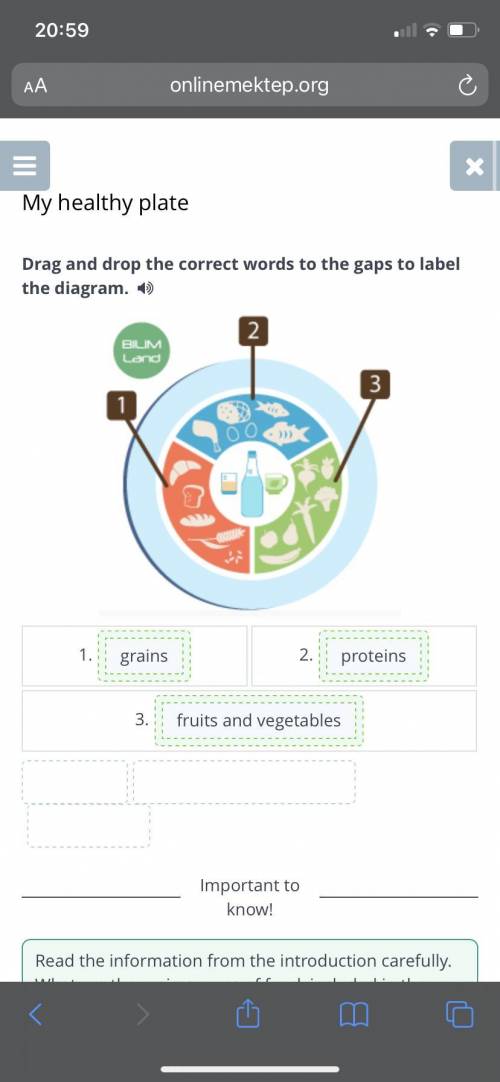 Drag and drop the correct words to the gaps to label the diagram.  ￼1.2.3.grainsfruits and vegetable