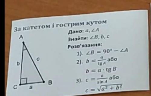 Запишіть алгоритм розв’язування прямокутних трикутників за катетом і гострим кутом.