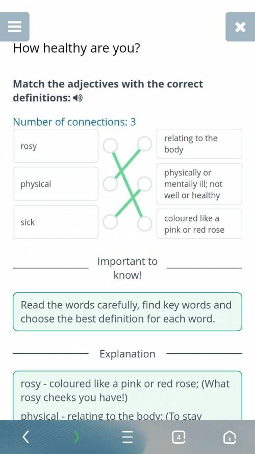 Match the adjectives with the correct definitions: 4 Number of connections: 3rosyrelating to the bod