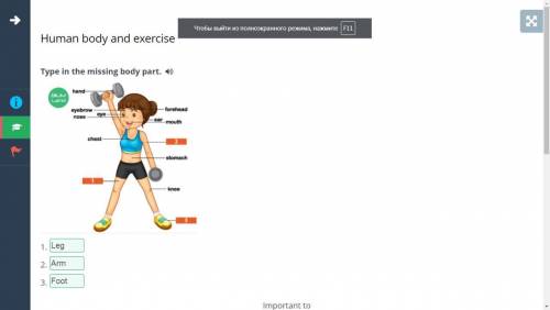 Human body and exercise Type in the missing body part. 1.2.3. мне ​