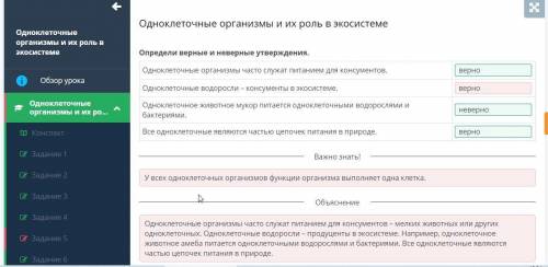 Определи верные и неверные утверждения. Одноклеточные организмы часто служат питанием для консументо