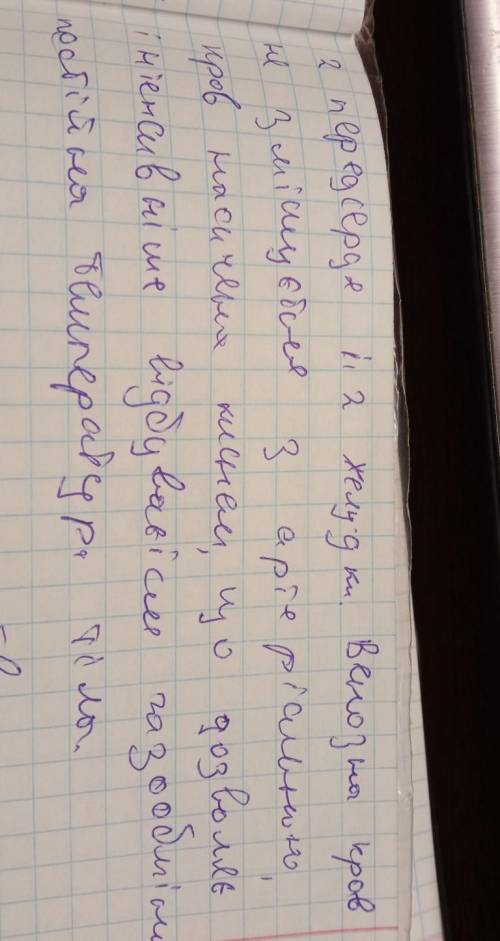 Які переваги 4-х камерного серця птахів і ссавців?