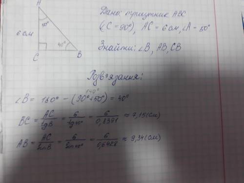 Трикутник АВС прямокутний (С＝90°), АС＝6 см, ∠А＝50°. Розв'яжіть цей прямокутний трикутник.