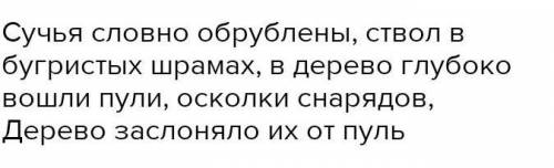 Письмо. Прочитаи текст. Выполно задания: 6. 7. 8. ПанятыНа старой Смоленской дороге стоит старая бер