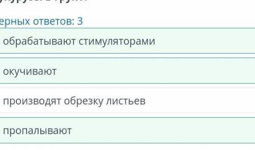 Основные направления растениеводства. Урок 2 Какие действия производят после высадки семян кукурузы