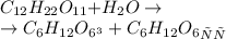 \quad \quad\quad\quad\quad\quad \quad\quad\quad\quad\quad \quad\quad\quad\quad\\ C_{12}H_{22}O_{11}{ +} H_2O \to\quad \quad\quad\quad\quad \quad\quad\quad \quad \quad\quad \\ \quad \quad\quad\quad \to C_6H_{12}O_6 { _{гл}}+C_6H_{12}O_6 { _{фр}}