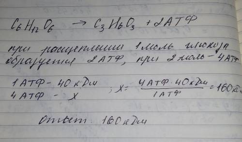 Задача. В ответе должно выйти 160, объяснить по формулам. : В процессе энергетического метаболизма в