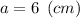 a = 6 \: \: (cm)