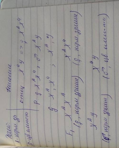 Ген цветовой слепоты (дальтонизм) рецессивен и сцеплен с Х-хромосомой. Женщина с нормальным зрением,