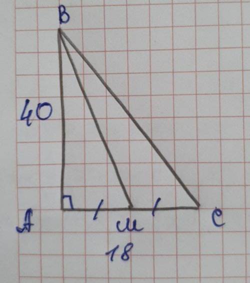 катет прямокутного трикутника дорівнює 40см і 18см. Знайдіть довжину медіани, проведеної до меншого
