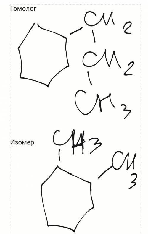 Химия! Построить изомер и гомолог, не шарю ) ​