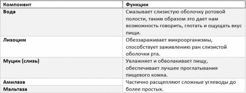 Перечислите 3 основных компонента слюны, укажите их функцию​