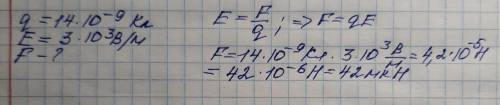Какая сила действует на заряд 14 нКл,помещенный в точку,в которой напряженность электрического поля