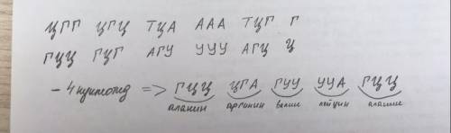 Ділянка гена має таку будову:ЦГГЦГЦТЦТЦГГ. Запишіть склад відповідної ділянки того білка,інформація