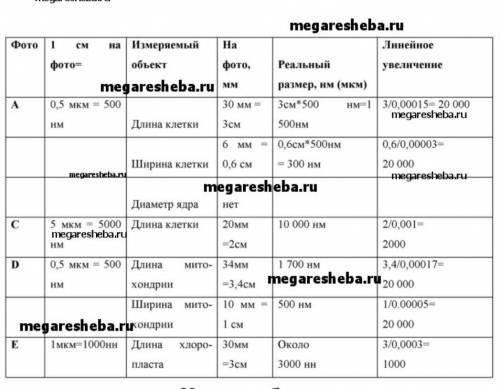 n you 5. Данные занесите в таблицу. Фото 1 см на фото? Измеряемый объект Ha фото, Реальный размер, Н
